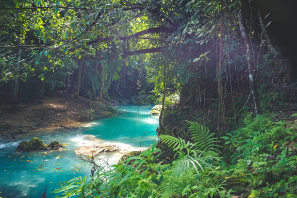 Natural spring representing future Aqua Prime spring water