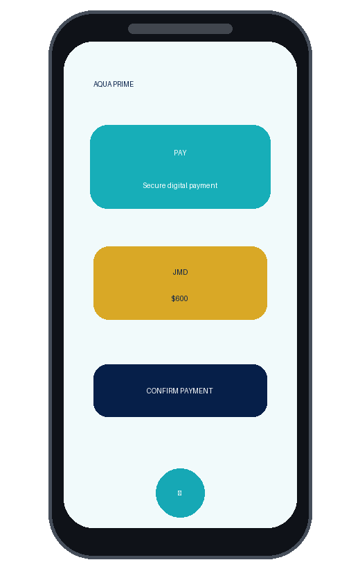 Smartphone displaying Aqua Prime payment screen